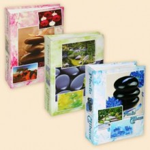 Pioneer 4R100 Silent picture2